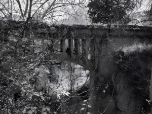 Una imatge monocroma dun pont antic i cobert en una zona boscosa. El pont té una superfície resistent a la intempèrie i coberta de molsa, amb arbres ermes i branques embullades que lenvolten, projectant ombres intricades al terra de sota.