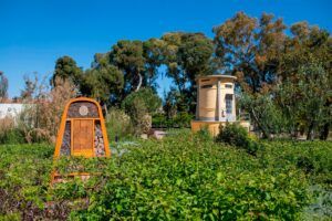 Un jardí exuberant amb diverses plantes i arbres verds envolta un petit edifici groc amb finestres corbes. En primer pla, hi ha una estructura de fusta amb compartiments, semblant a un hotel dabelles o insectes. El cel és clar i blau.