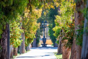 Un camí il·luminat pel sol amb arbres alts i branques carregades de taronges condueix a un fanal negre i un edifici groc amb grans finestrals al fons. Les ombres i la llum creen una atmosfera serena.