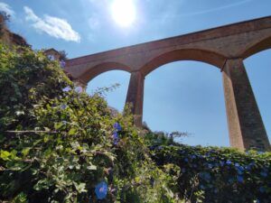 Un viaducte alt de maó amb tres arcs sestén per la imatge sobre un cel blau brillant. El primer pla està ple de fullatge verd exuberant i plantes amb flors, amb el sol brillant a dalt.