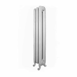 Un radiador de ferro colat alt i decoratiu amb motius florals complexos i potes corbes es troba dret sobre un fons blanc senzill. El radiador té tres seccions verticals una al costat de laltra.