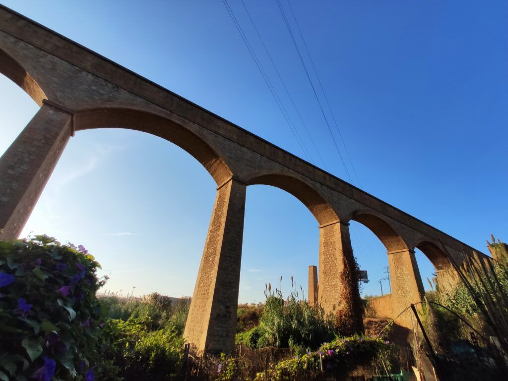 Desde abajo, se ve un viaducto de piedra con múltiples arcos que se extiende sobre un cielo azul claro. En primer plano, se ven plantas y flores violetas que añaden un contraste natural a la arquitectura.